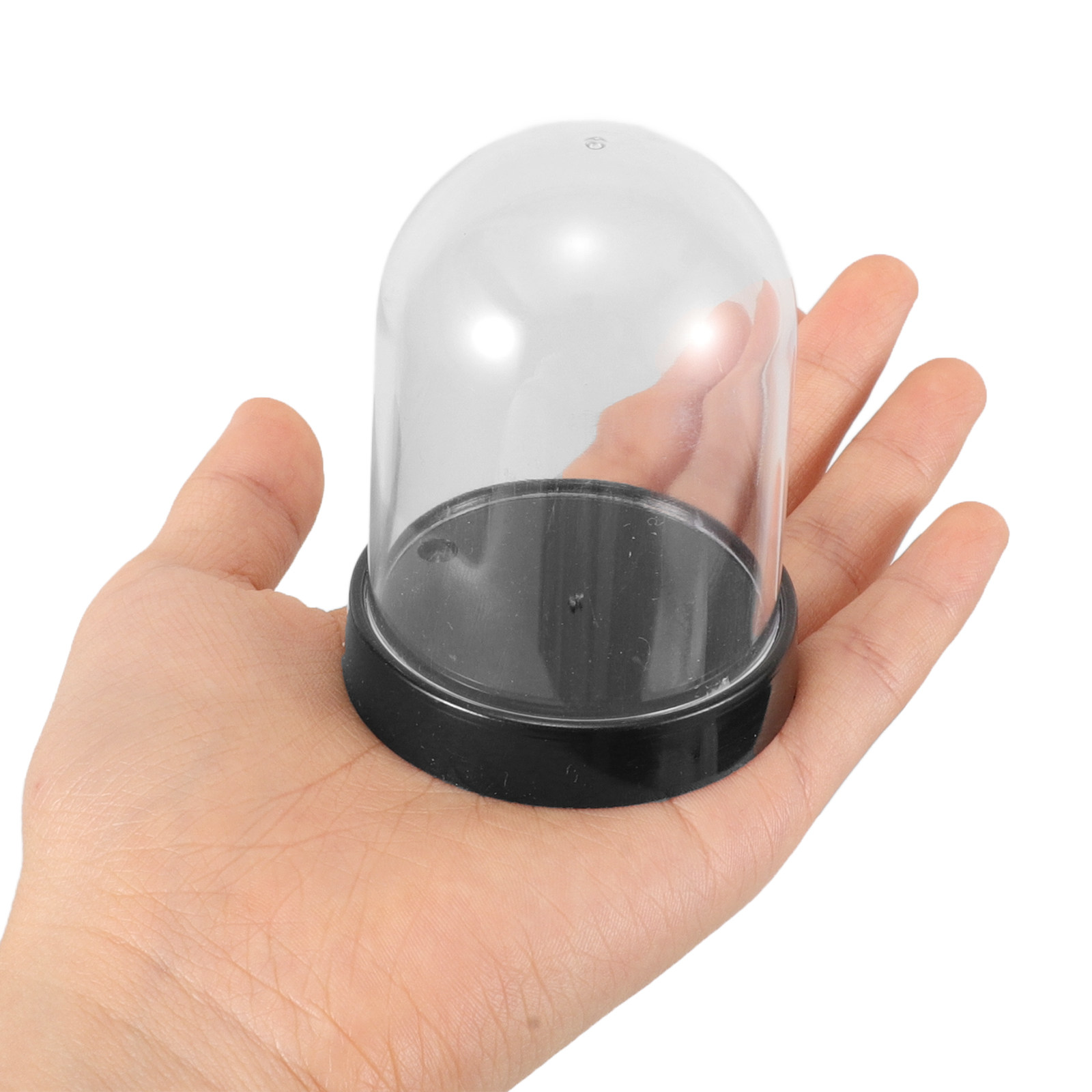 5 مجموعات من أغطية العرض البلا - مراجعة Plastic Dome Clear وسعره