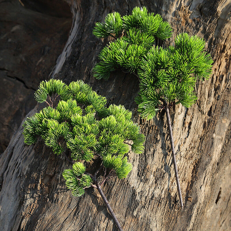 42 سنتيمتر نبات اصطناعي فرع ال - مراجعة Sphagnum Moss Dry وسعره