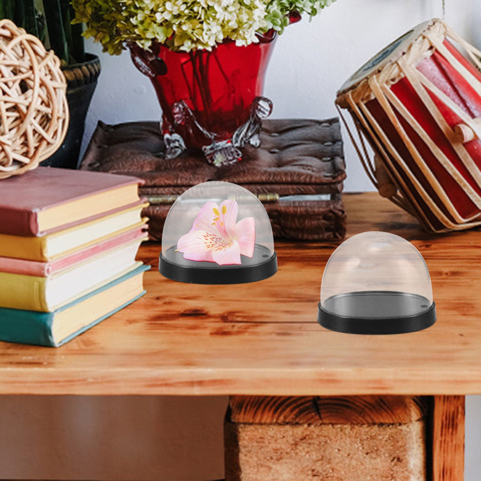 5 مجموعات من قباب العرض البلاس - مراجعة Plastic Dome Clear وسعره