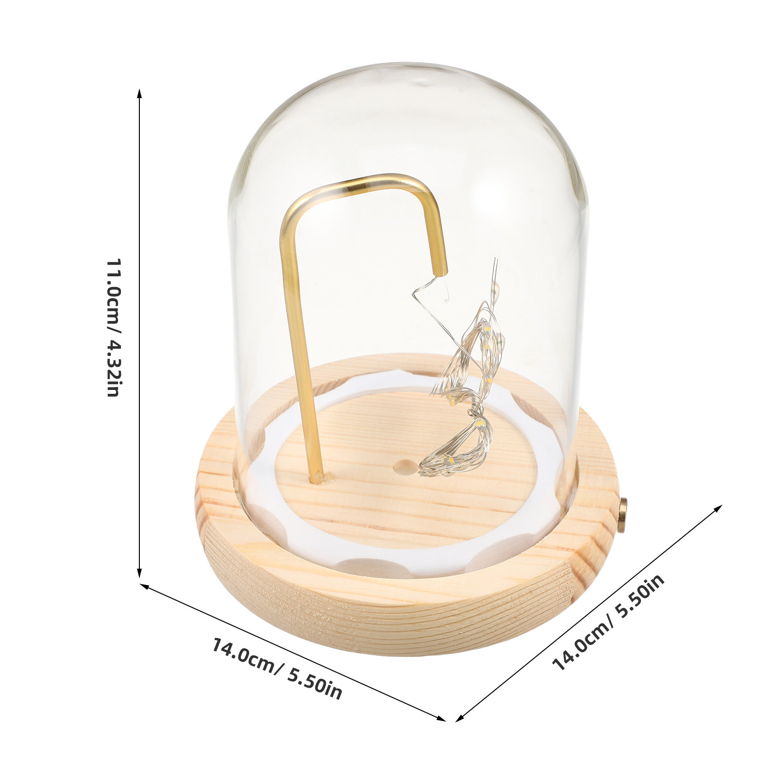 قبة عرض زجاجية مع قاعدة خشبية  - مراجعة Plastic Dome Clear وسعره
