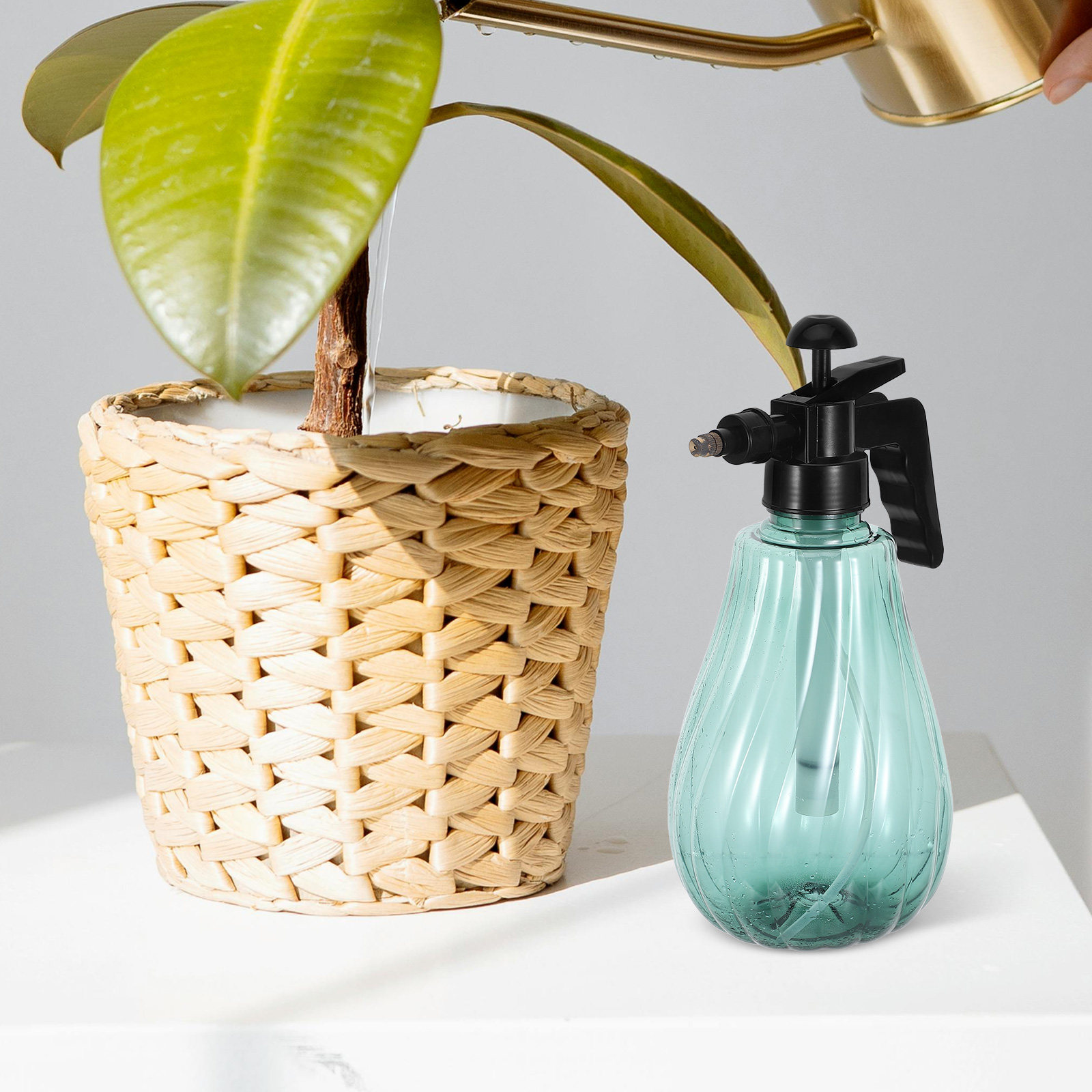 بخاخ يدوي لاستحمام الحيوانات ا - مراجعة Misting Bottle Fine وسعره