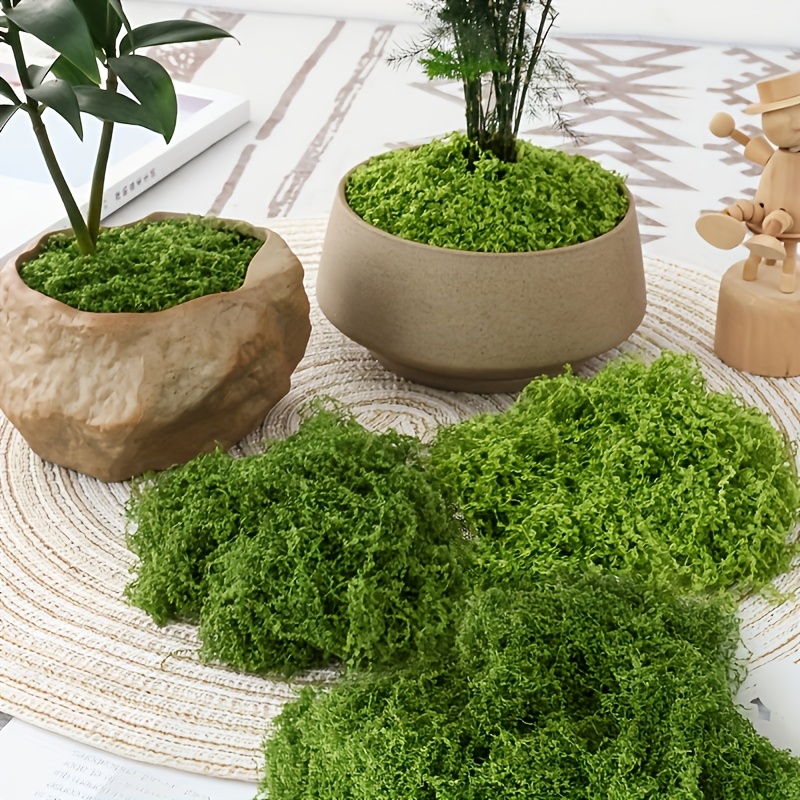 عبوة كبيرة من الطحلب الاصطناعي - مراجعة Sphagnum Moss Dry وسعره