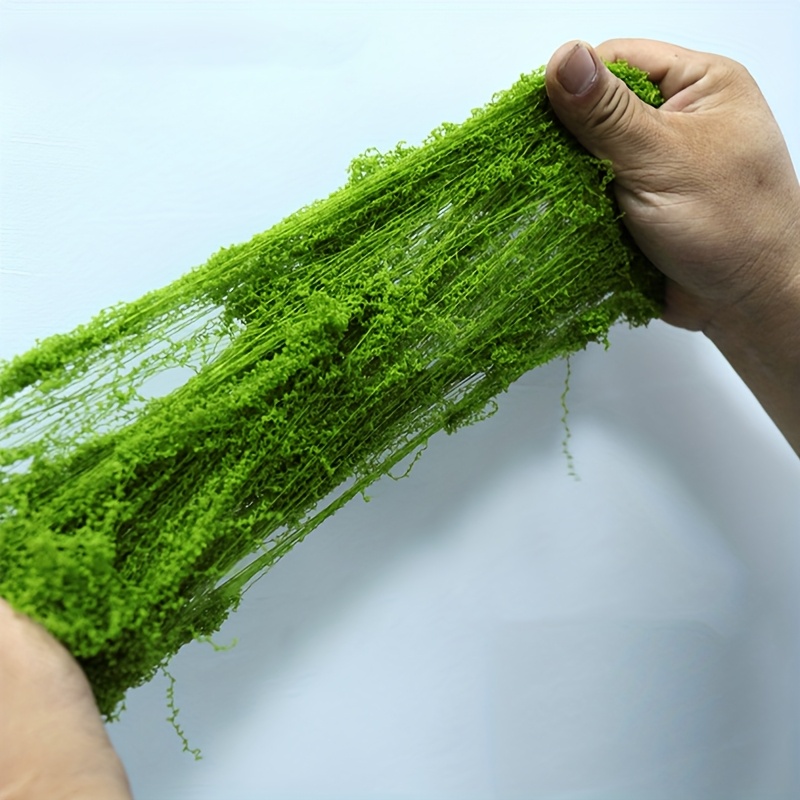 عبوة كبيرة من الطحلب الاصطناعي - مراجعة Sphagnum Moss Dry وسعره
